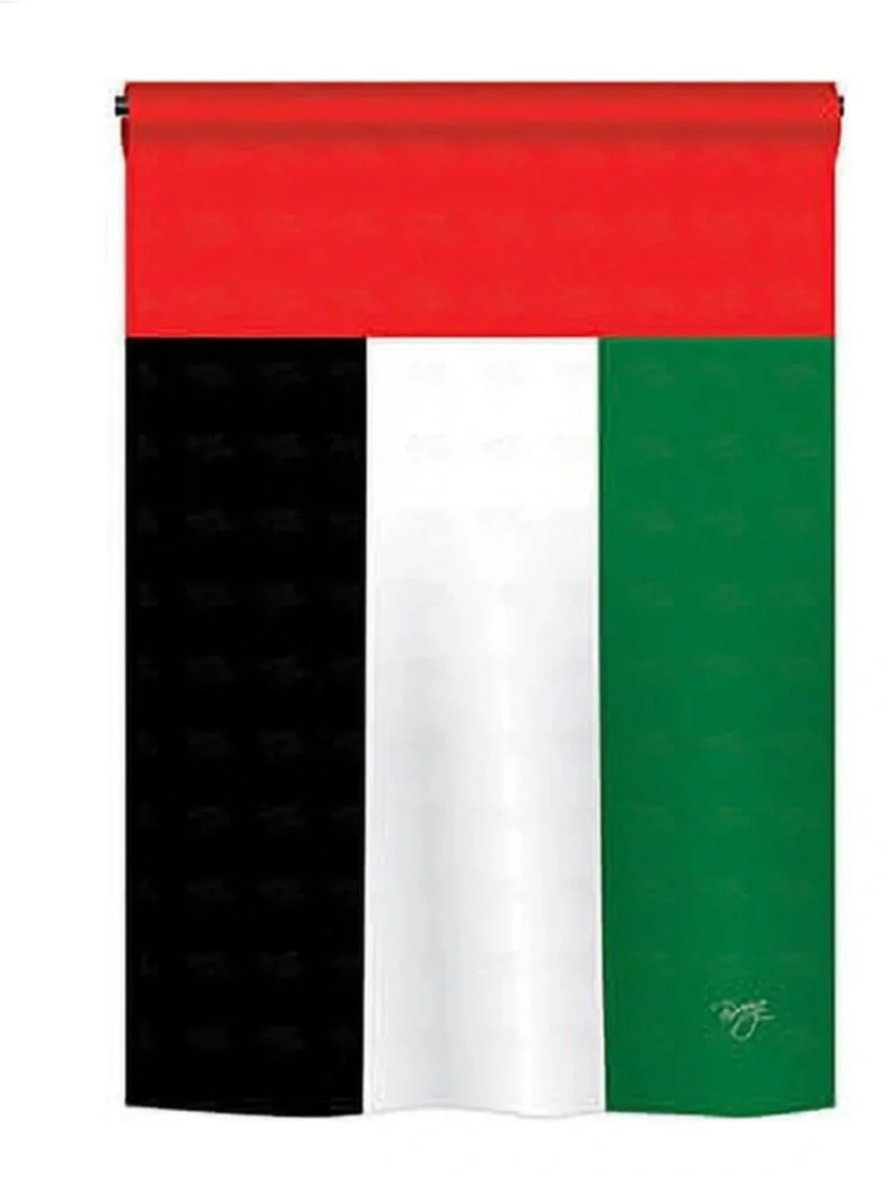 National Geographic UAE Flag Party Banner - Red, Green, White, Black